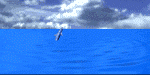 [animation]