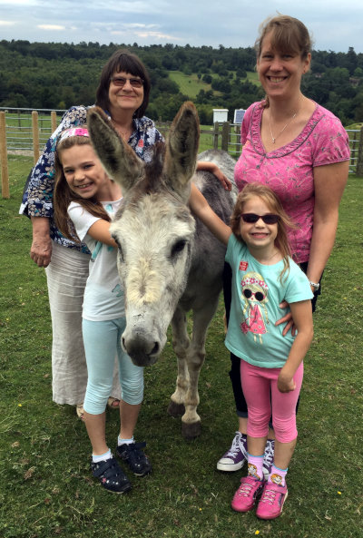 it's a donkey