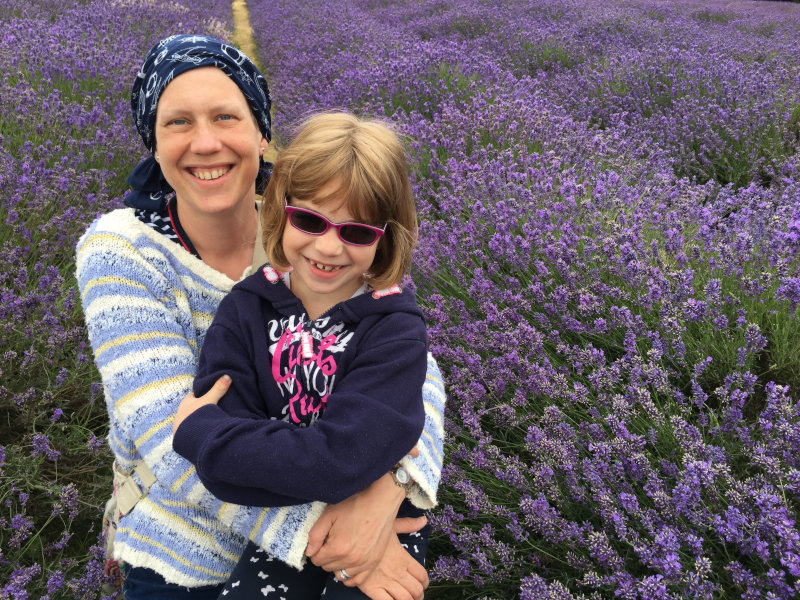 lavender fields