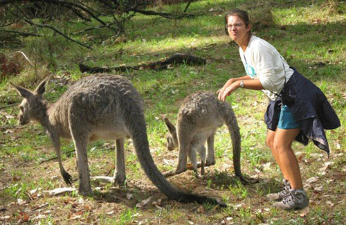 Kataroos