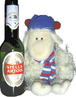 beer drinking sheep