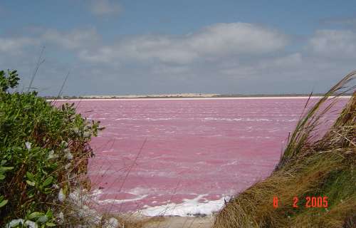 salt flats and pink lakes