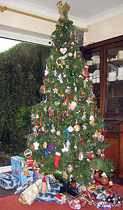 Sylvia and John's tree Sylvia and John's tree