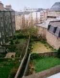 Phil's garden