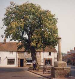 Alfriston - ahh, ain't it purdy