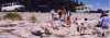 lunch on the beach