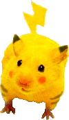 Pikachu hamster